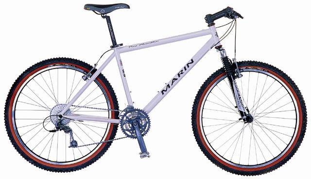 2001 Pine